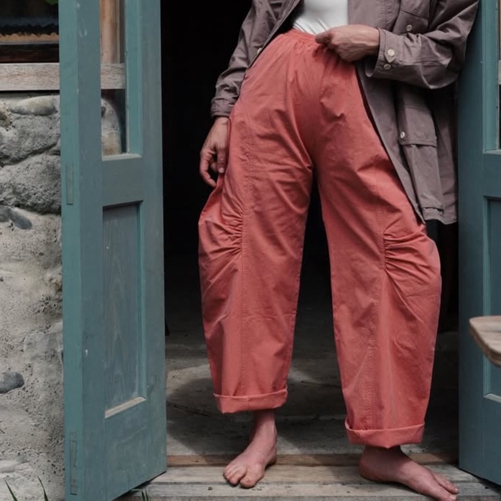 HELP! ISO Rudy Jude ‘The Saddle Pant’ color Rust, size S 🙏🏼